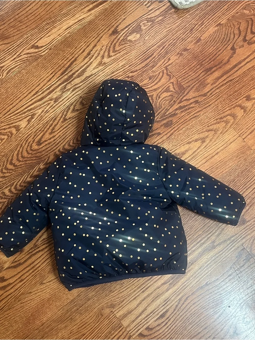 Baby gap Navy Polka Dot Hooded Jacket